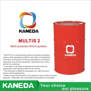 KANEDA MULTIS 2 Multi-purpose litiumfett.